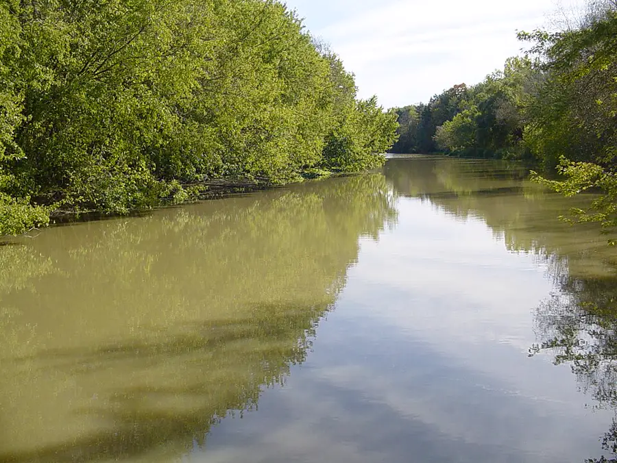 Dalewood Conservation Area, Dalewood