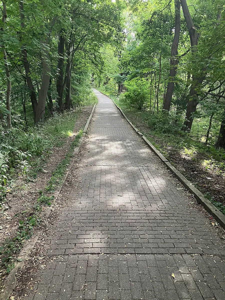 Thames Park, Wortley Village and Old South